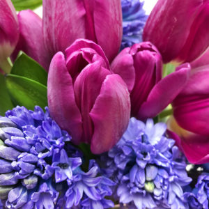 Tulpen und Hyzinthen