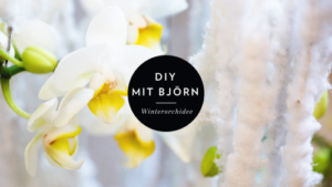 Winterorchidee-DIY-mit-Björn
