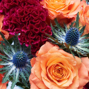 Rosen, Celosia, Disteln
