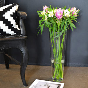 Curcuma & Inkalilien