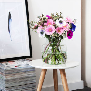 Germini, Anemonen, Wachsflower