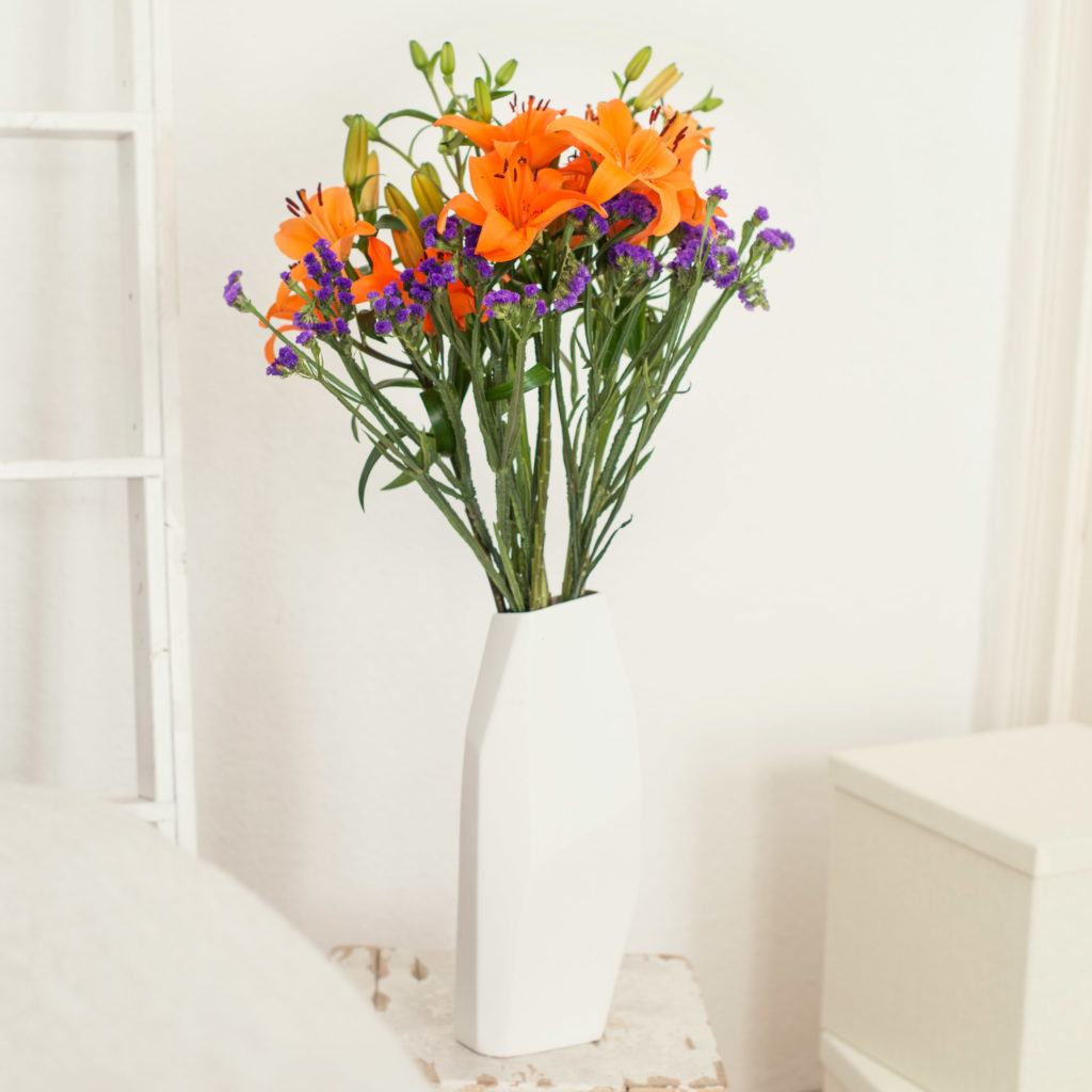 2015_04_28_BDW_1