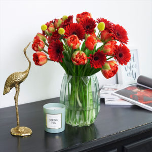 Tulpen, Germini, Craspedia