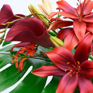 Lilien, Montbretien, Calla, Monstera