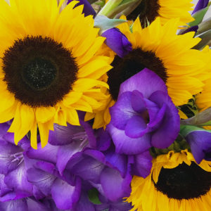 Gladiolen & Sonnenblumen