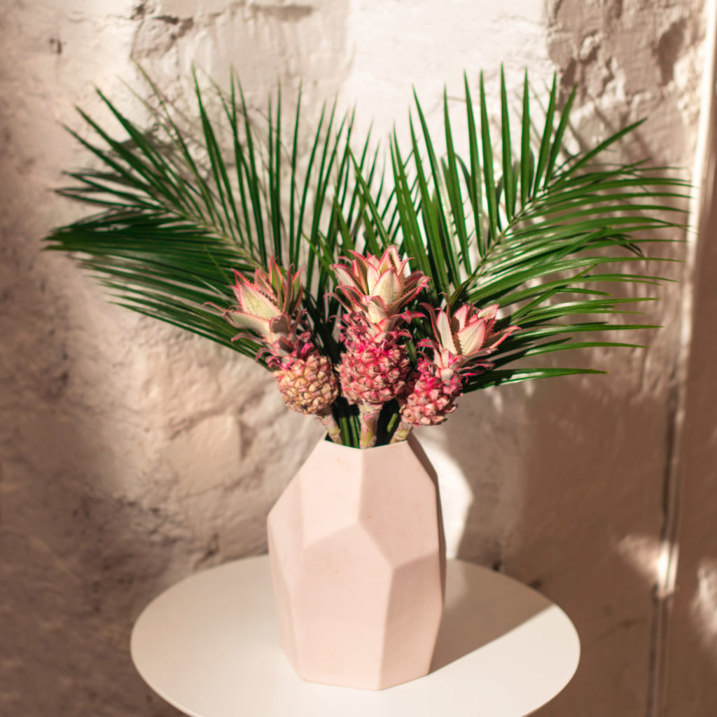 Zierananas