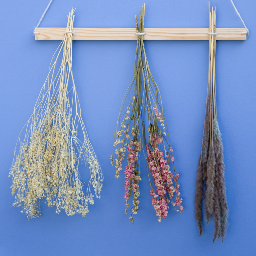 Trockenblumen DIY