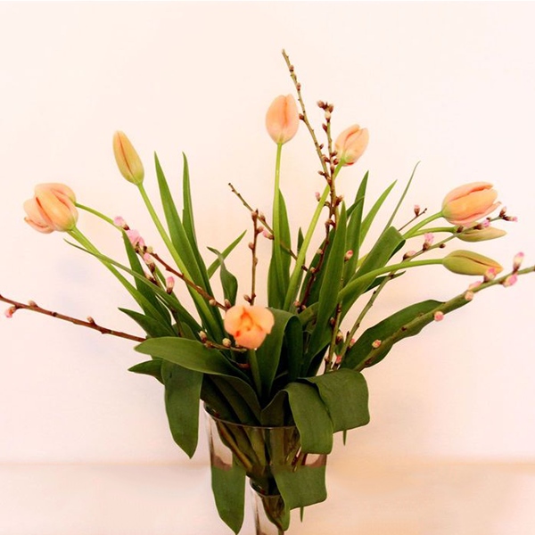Französische Tulpen und Mandelzweige