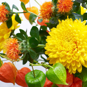 Chrysanthemen, Färberdistel, Zierphysalis