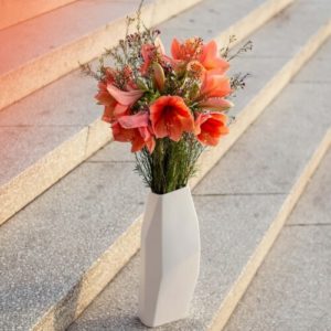 rote-Amaryllis-Amaryllidaceae-Hakige-Chamelaucium-Chamelaucium-uncinatum