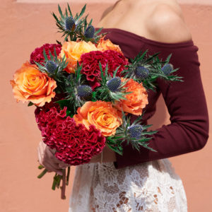 Rosen, Celosia, Disteln