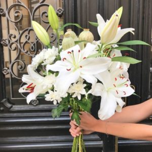lilien-blumen-der-woche