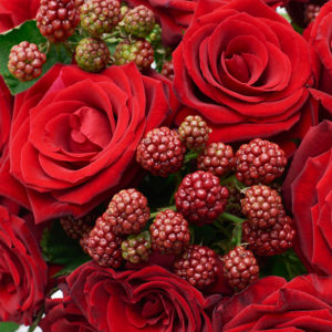 Rosen & Brombeeren