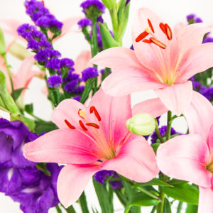 Brindisililien statice, and gladiolus