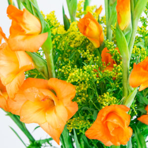Sunbeam: Gladiolen und Solidago