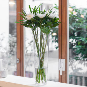 BdW600x600_Long