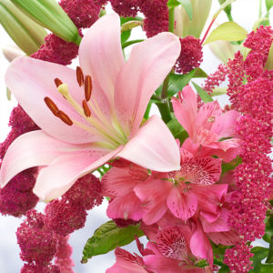 Lilien, Inkalilien & Amaranth