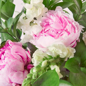 Pfingstrosen, Löwenmäulchen, Ruscus