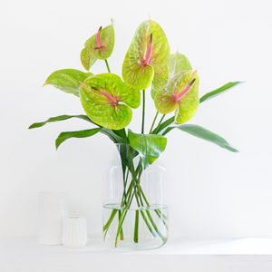 Green Flamingo