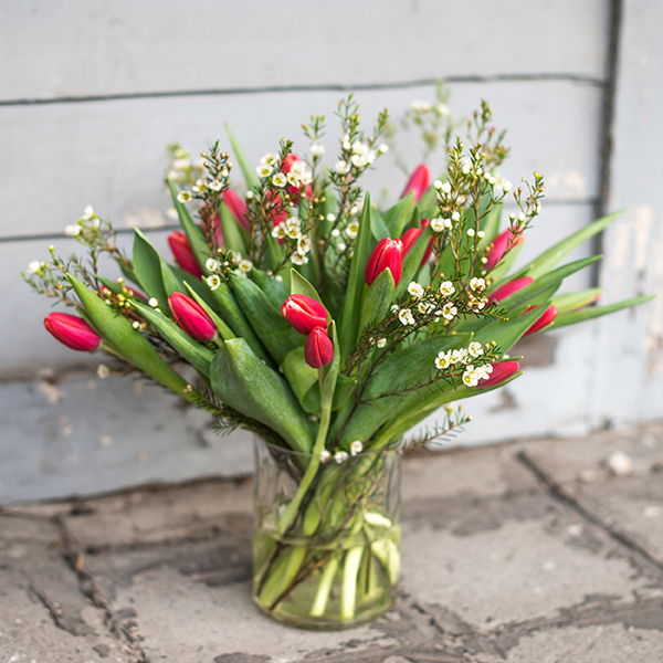 Tulpen-Waxflower