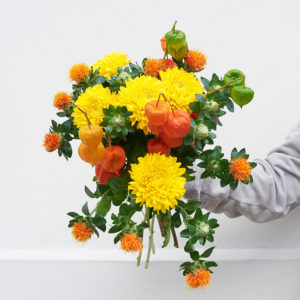 Chrysanthemen, Färberdistel, Zierphysalis