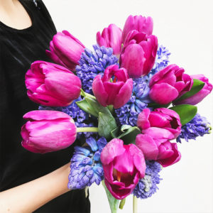 Tulpen und Hyzinthen