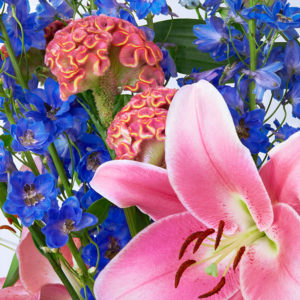 Delphinium, Celosia & Lilien