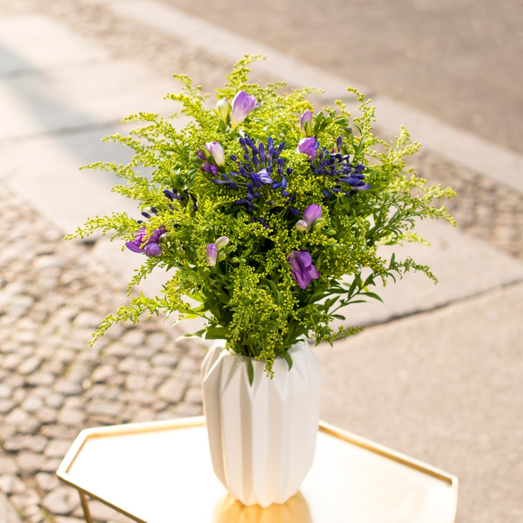 solidago-agapanthus-freesien