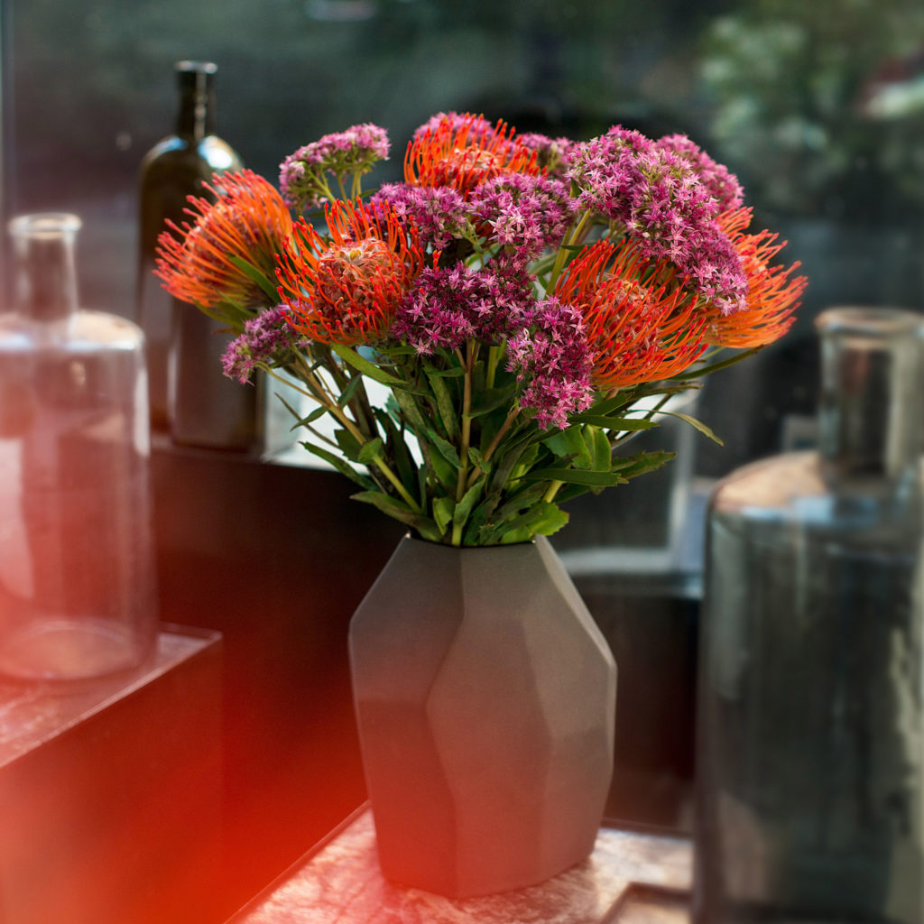 Nadelkissen-Leucospermum-Fette-Henne-Sedum
