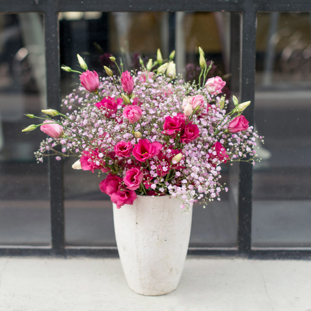 Japanrosen-Eustome-Schleierkraut-Rispiges-Gipskraut-Gypsophila-paniculata