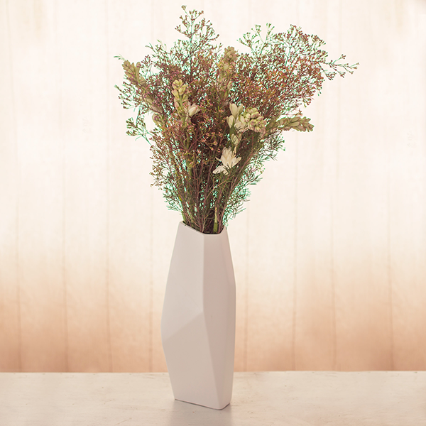 Waxflower-Nachthyazinthen