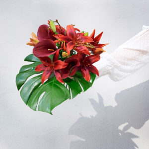 Lilien, Montbretien, Calla, Monstera