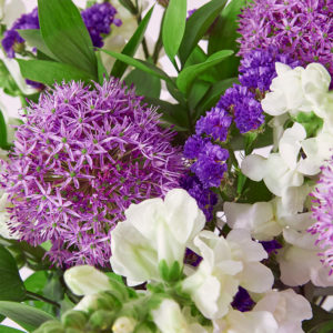 Allium, Löwenmäulchen, Statice, Ruscus
