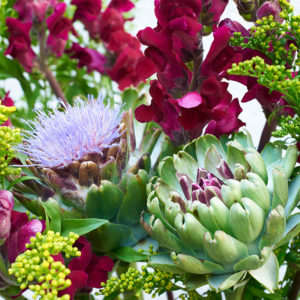 Löwenmäulchen, Solidago, Artischocke