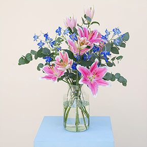 Rittersporn_Lilien
